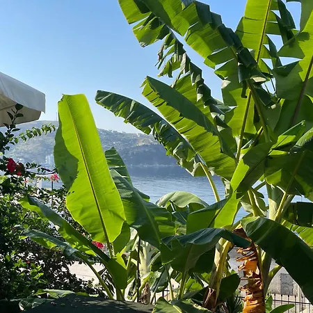 Apartment Ionian View